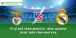 Tỷ Lệ Kèo Trận Benfica - Real Madrid 18/02: Bản Lĩnh Nhà Vua Tỷ Lệ Kèo Trận Benfica - Real Madrid 18/02