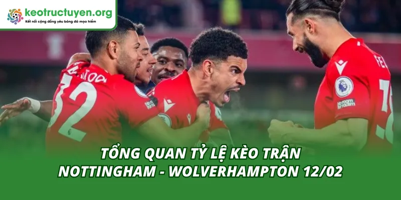 Tỷ Lệ Kèo Trận Nottingham - Wolverhampton 12/02: Kèo Cân Não Thông số đáng chú ý ở cuộc chạm trán Nottingham vs Wolverhampton